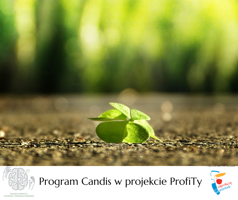 Read more about the article Program Candis w projekcie ProfiTy